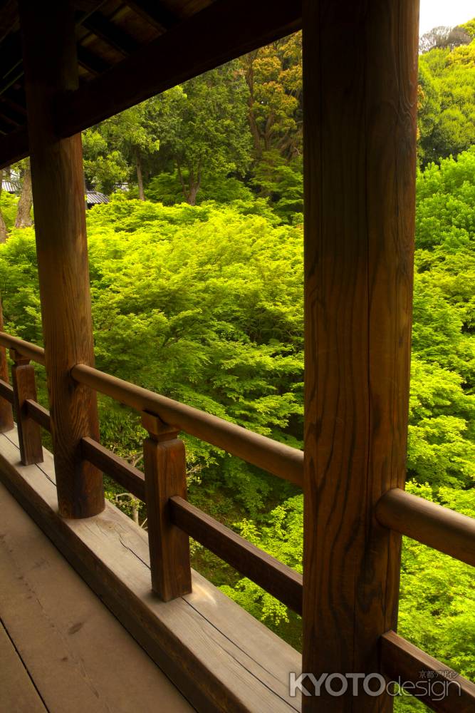 新緑の東福寺10