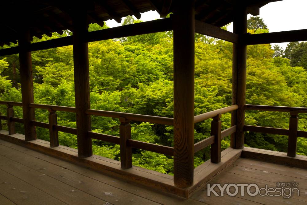 新緑の東福寺12