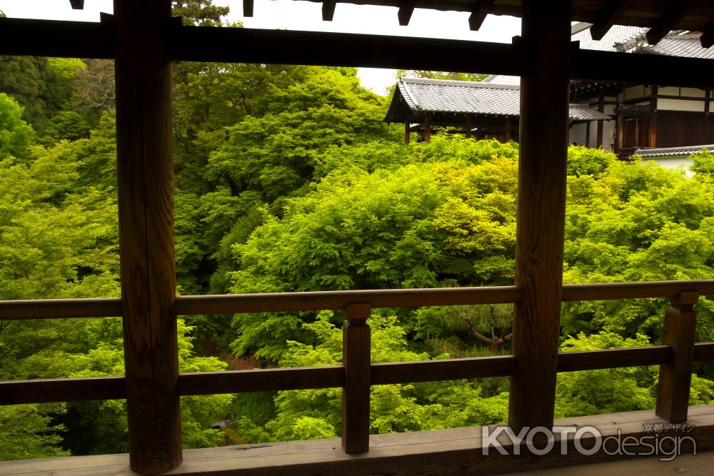 新緑の東福寺17