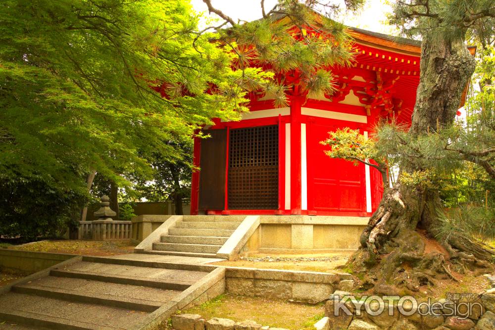 新緑の東福寺25