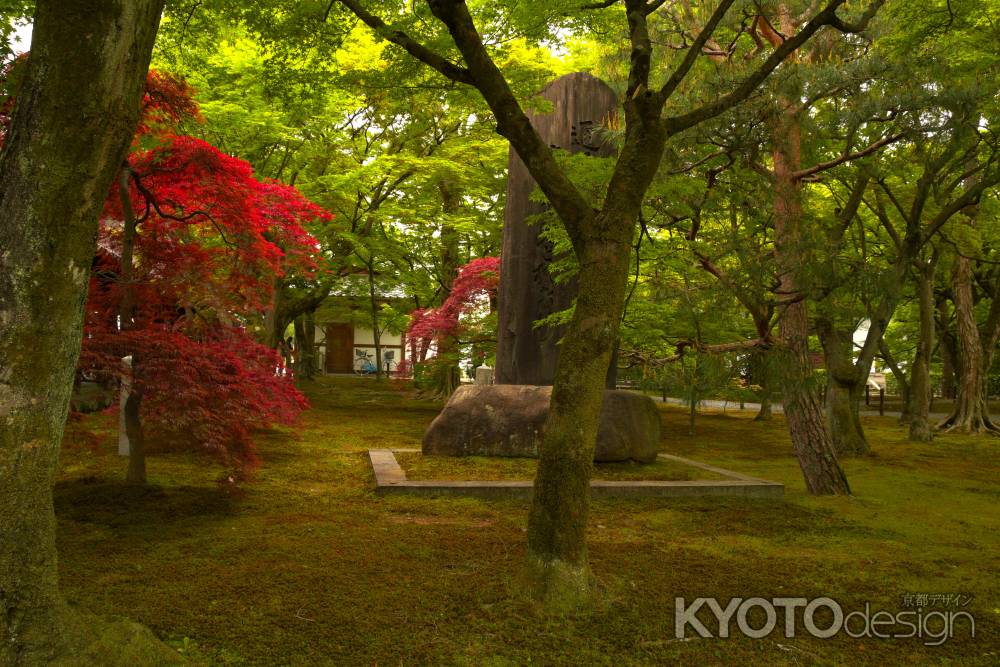 新緑の東福寺31