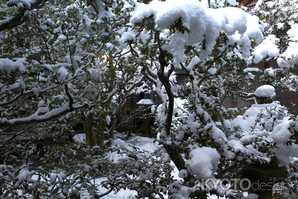 雪景色の仁和寺5