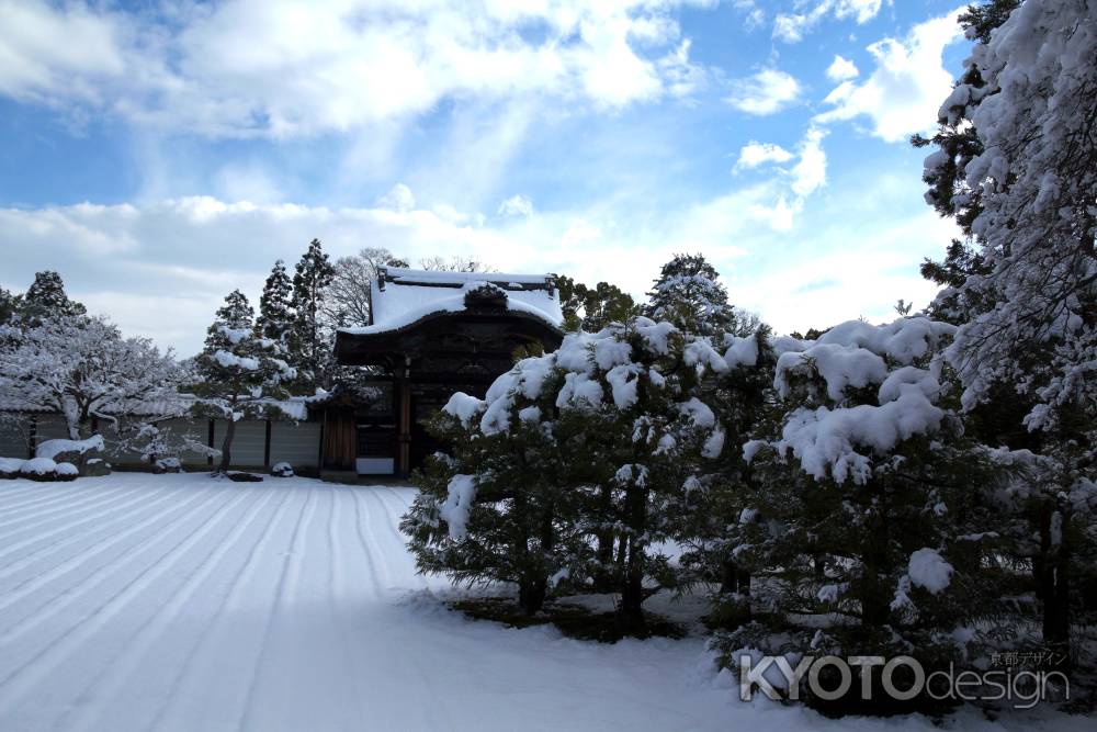 雪景色の仁和寺8