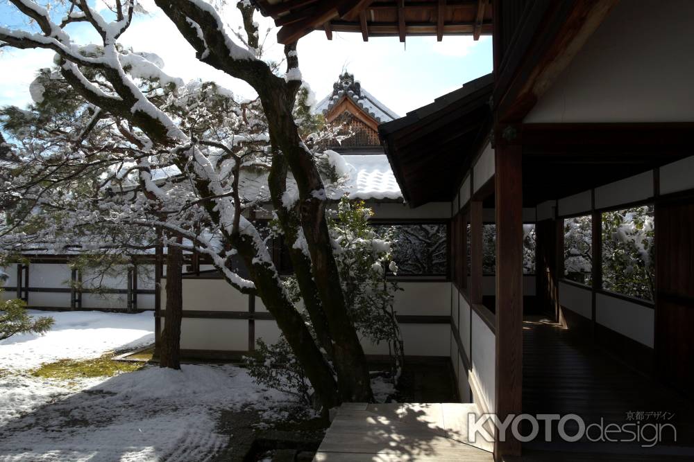 雪景色の仁和寺11