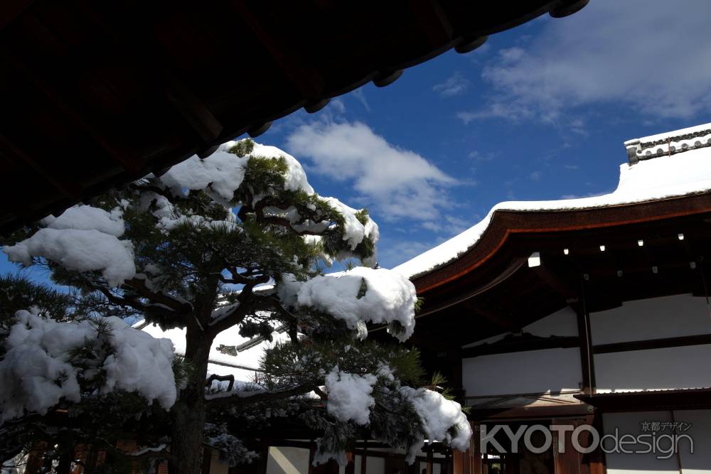 雪景色の仁和寺13