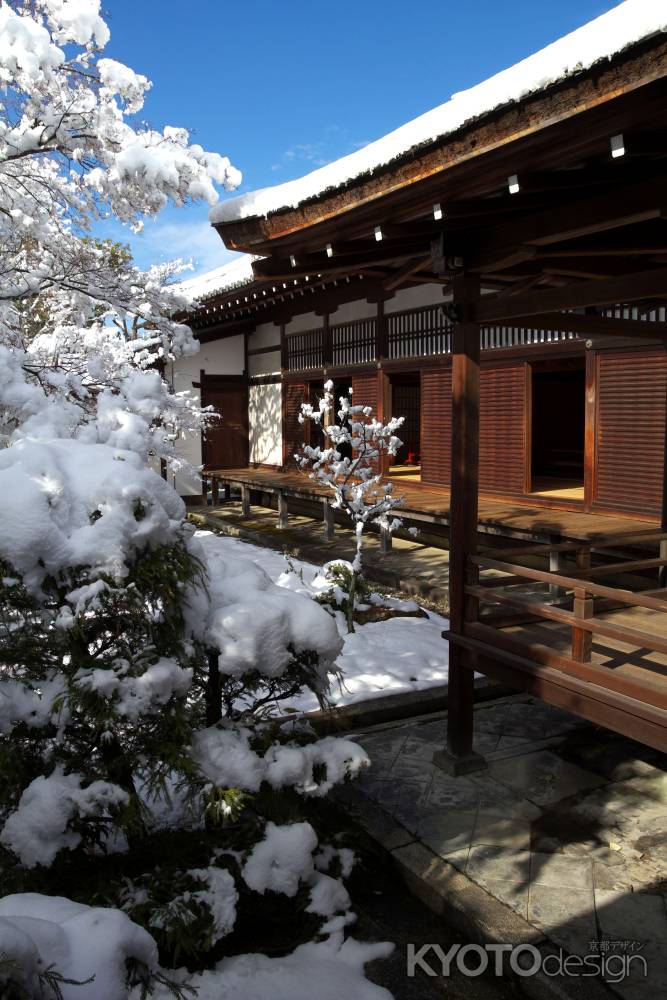 雪景色の仁和寺14