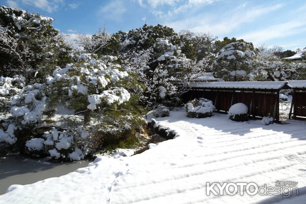 雪景色の仁和寺26