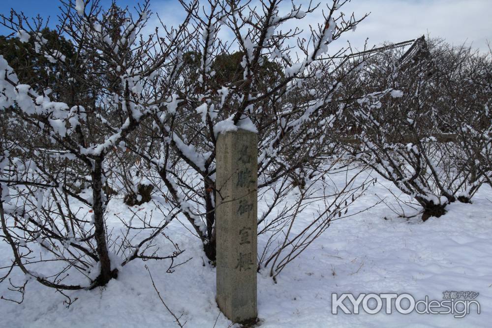 雪景色の仁和寺36