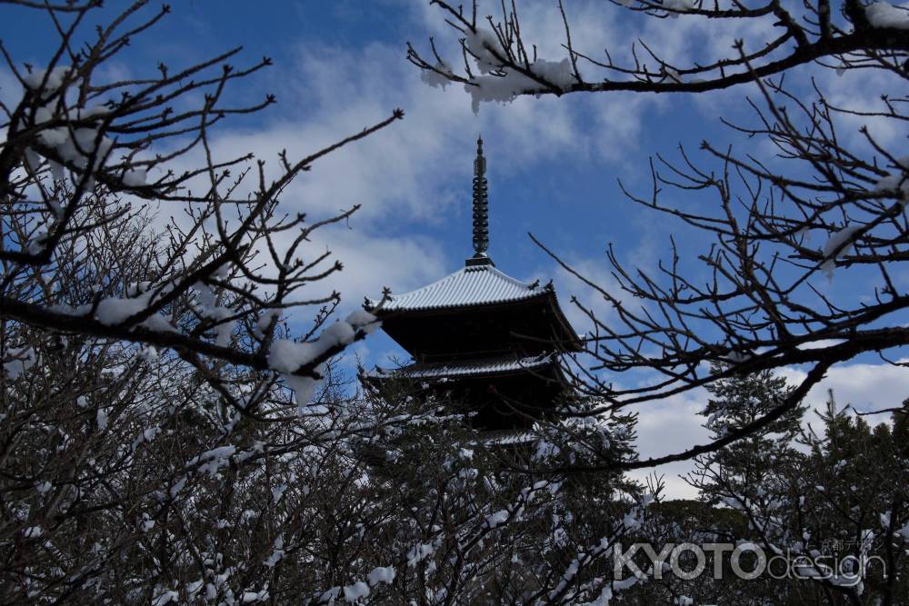 雪景色の仁和寺47