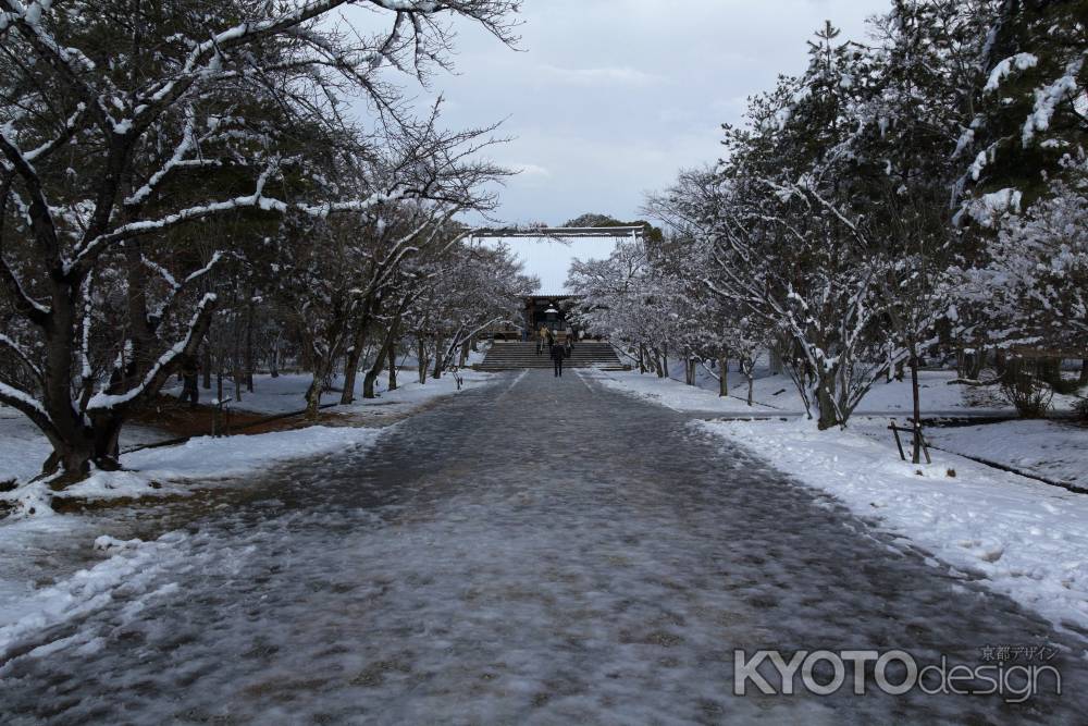 雪景色の仁和寺48