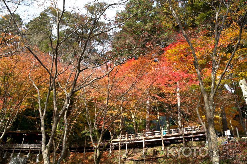 神護寺の紅葉1