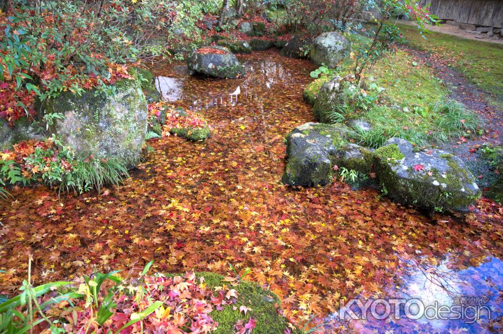 西明寺の紅葉10