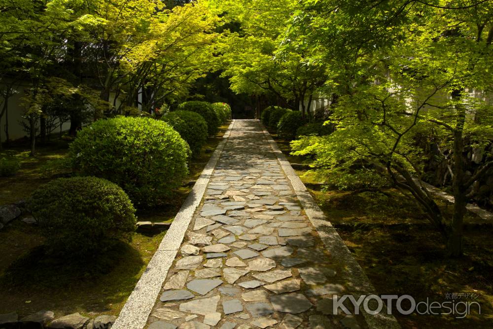 新緑の一休寺12