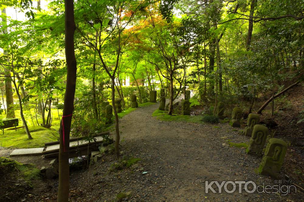 新緑の一休寺24