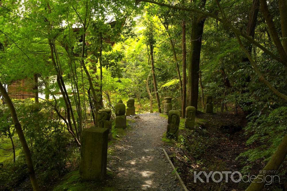 新緑の一休寺25