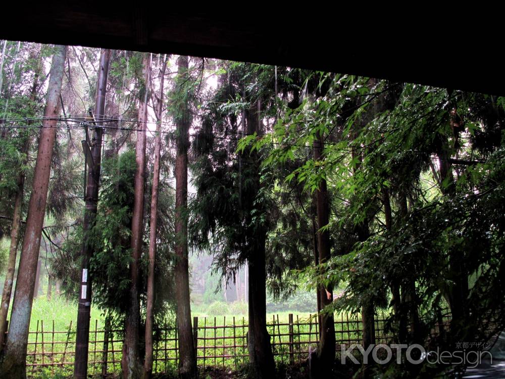 雨すだれの小倉山