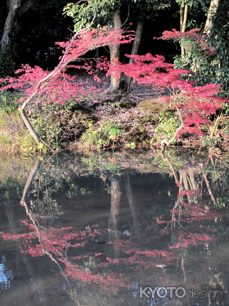 湖面へも染める