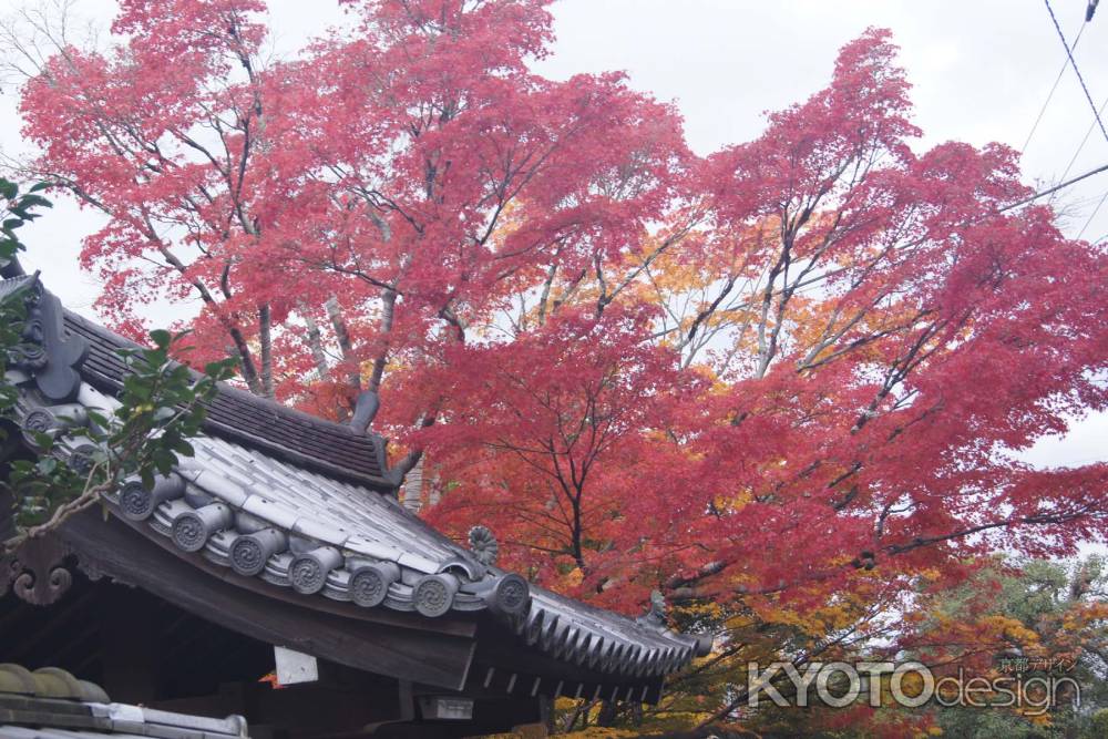 京都市の紅葉（牧護庵）
