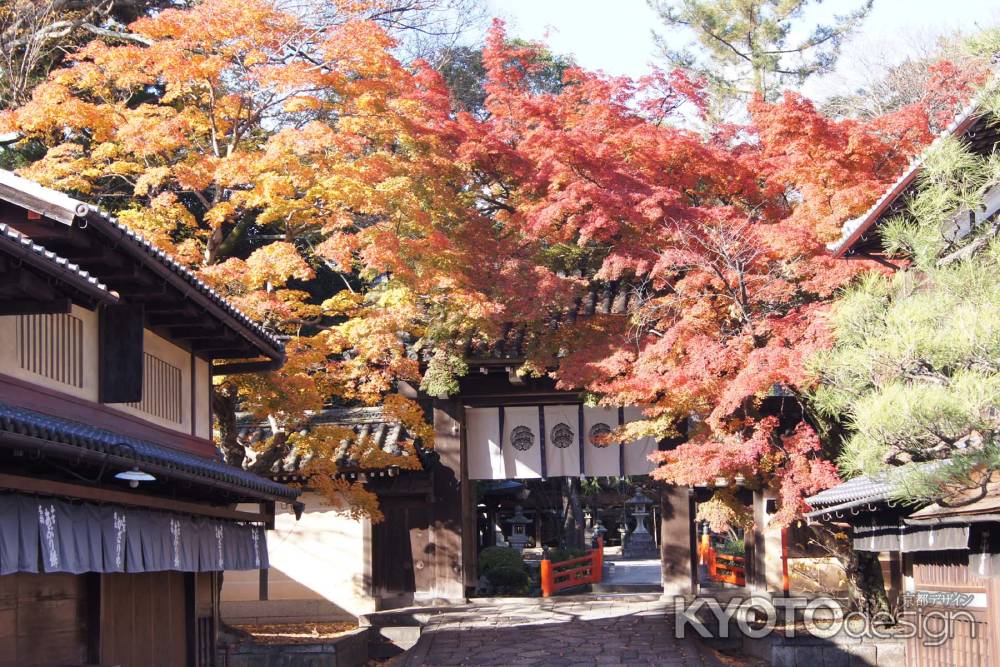 京都市の紅葉（今宮神社門前）