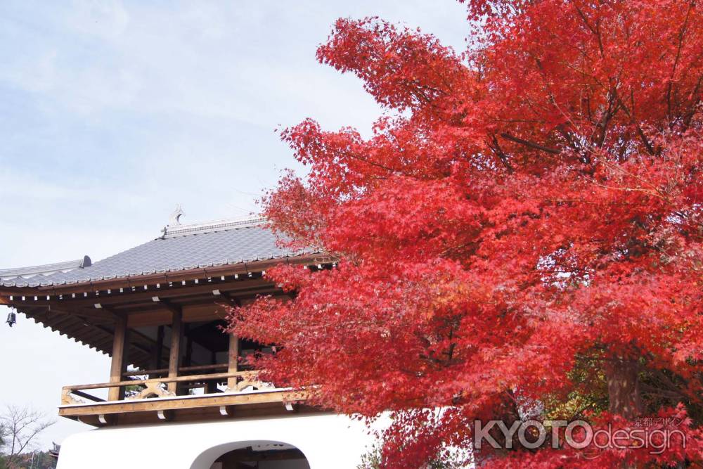 京都市の紅葉（転法輪寺）