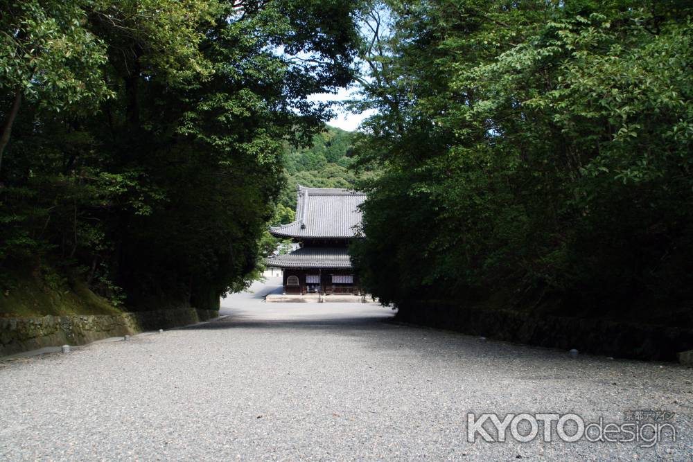 泉涌寺‎の夏