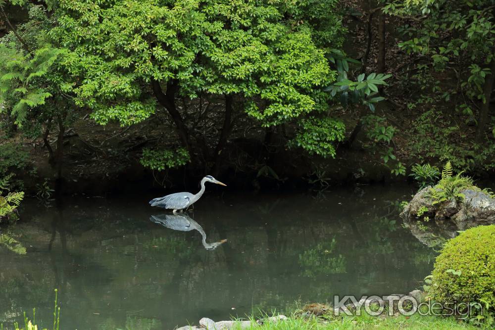 狙う