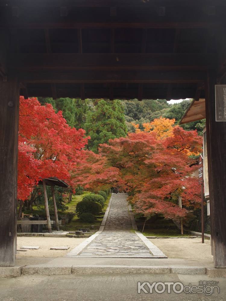 2019年　盛秋　酬恩庵一休寺　1