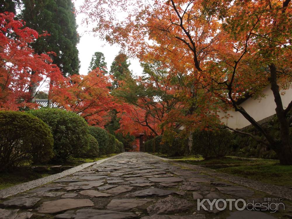 2019年　盛秋　酬恩庵一休寺　2