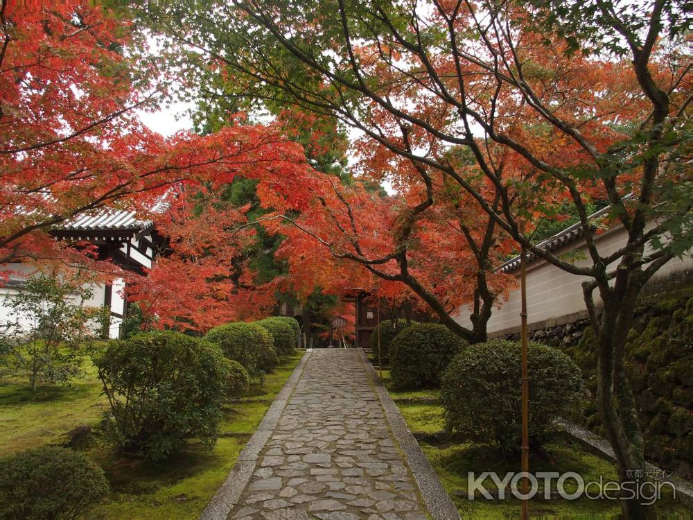 2019　盛秋　酬恩庵一休寺　3