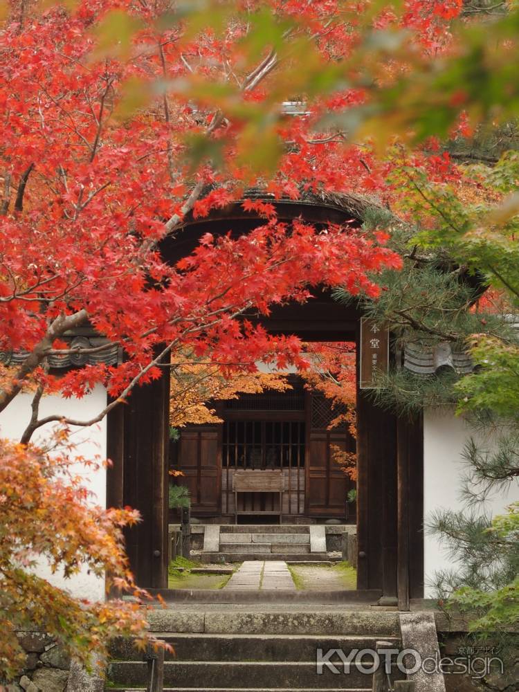 2019　盛秋　酬恩庵一休寺　4