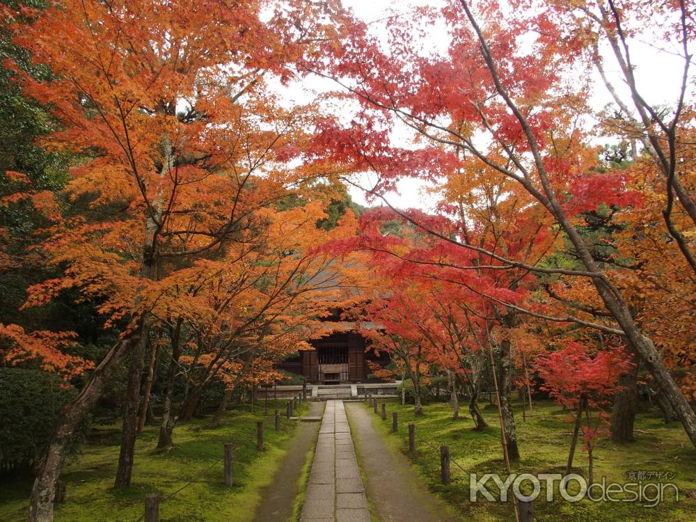 2019　盛秋　酬恩庵一休寺　7