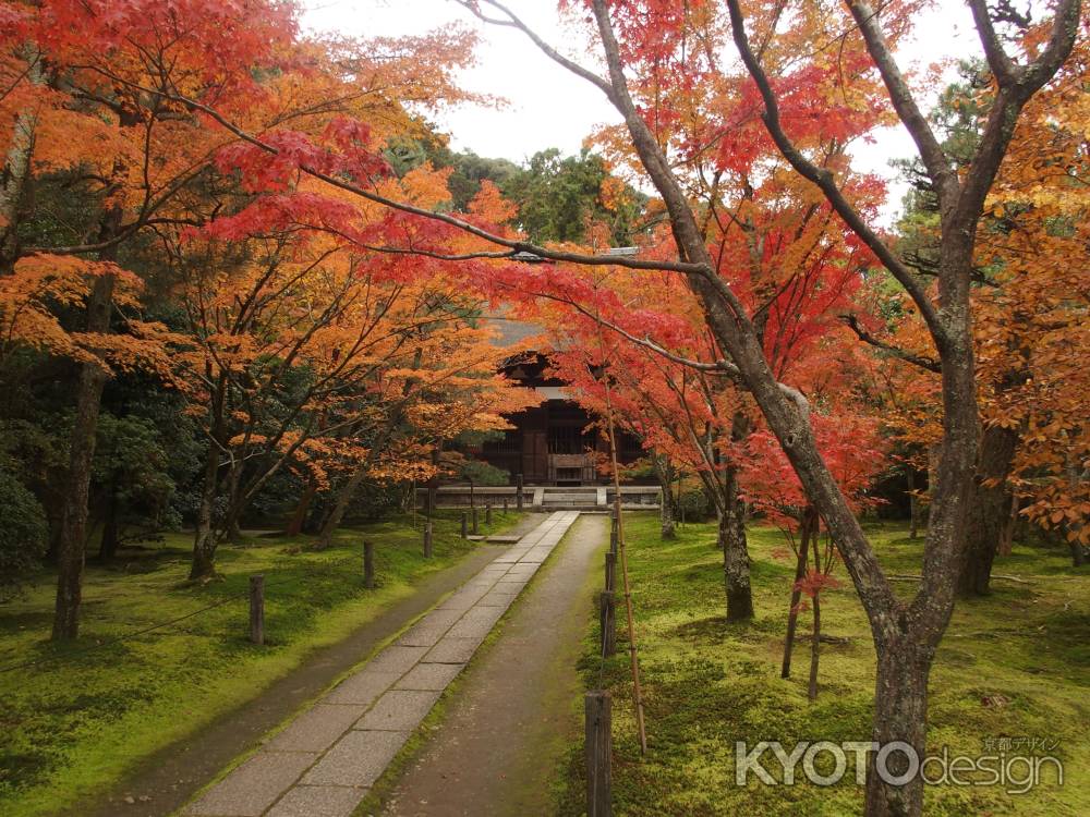 2019　盛秋　酬恩庵一休寺　8