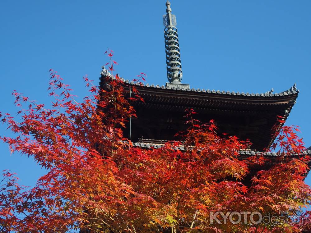 2019　盛秋　仁和寺　2　