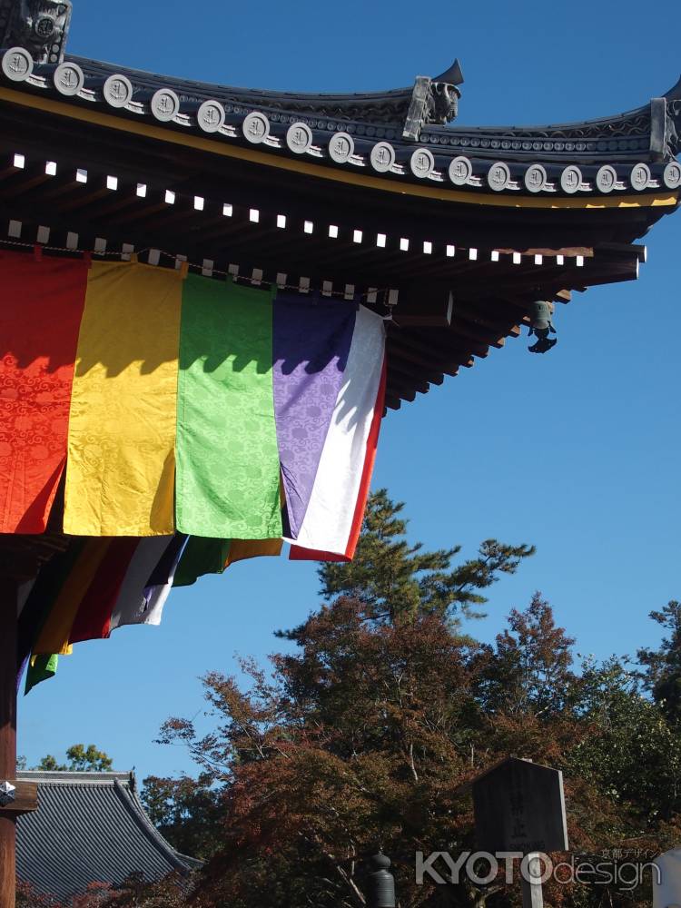 2019　盛秋　仁和寺　9　