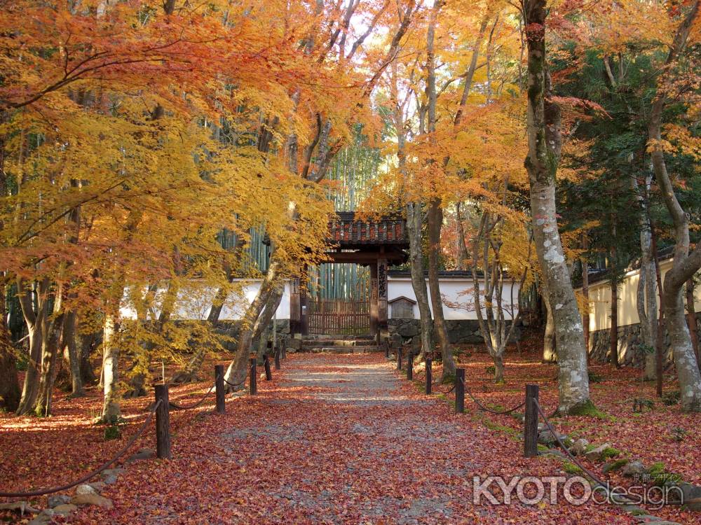 2019　盛秋　竹の寺　地蔵院　3