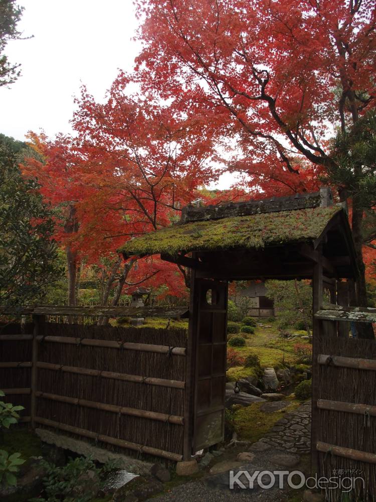 2019　盛秋　南禅寺　大寧軒　1