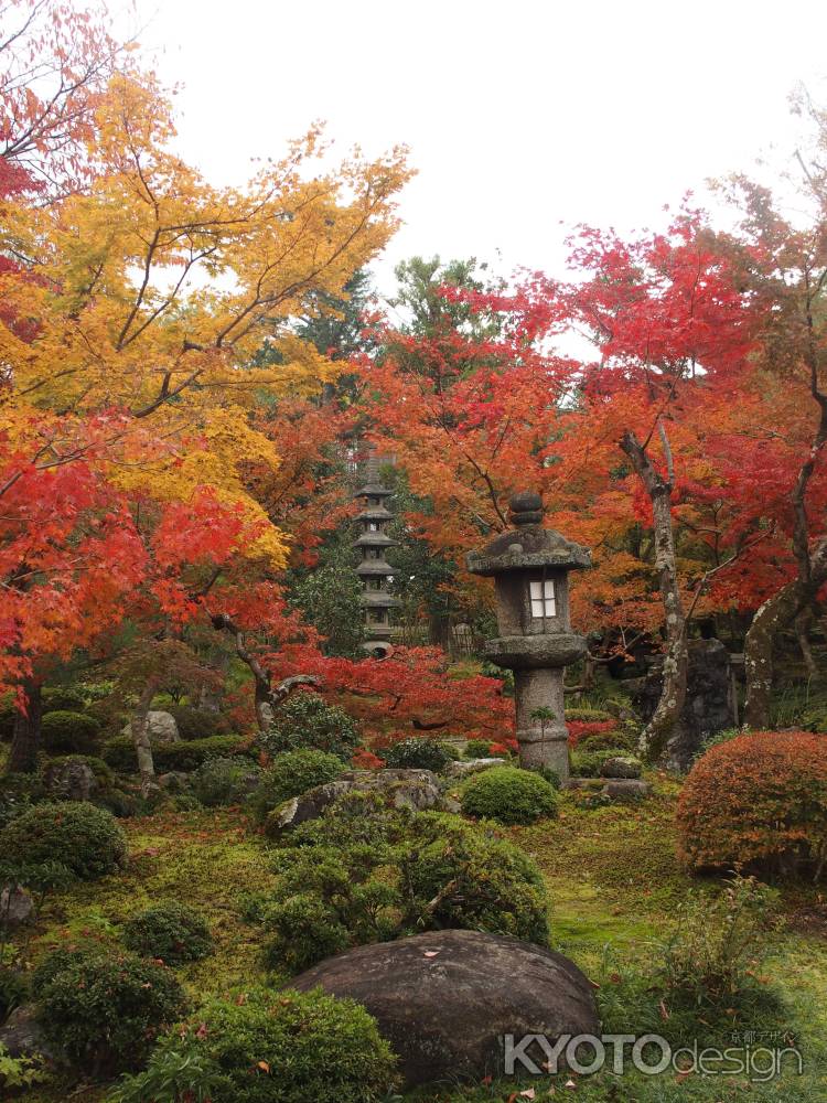 2019　盛秋　南禅寺　大寧軒　2