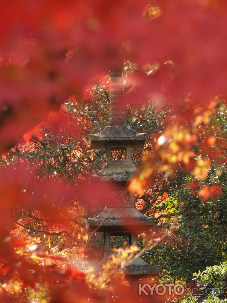 2019　盛秋　南禅寺　大寧軒　7