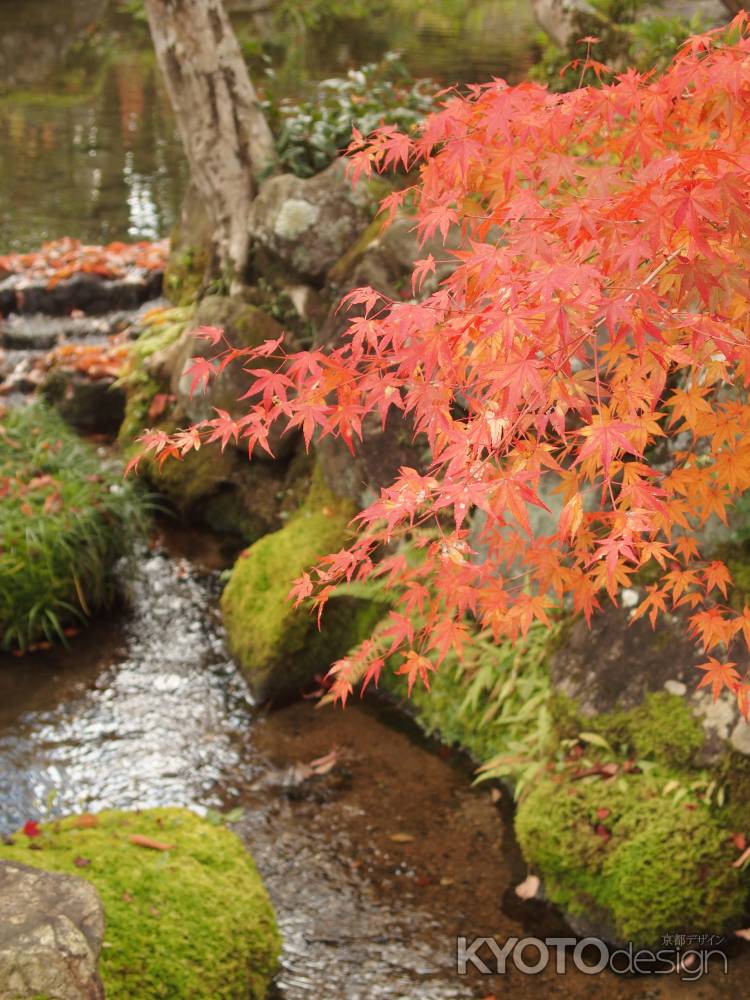 2019　盛秋　南禅寺　大寧軒　10