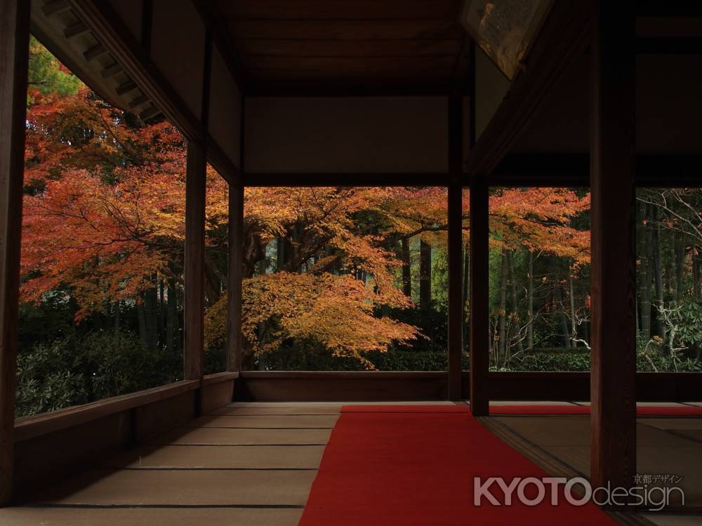 宝泉院