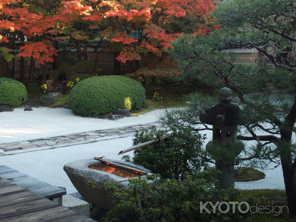 2019　盛秋　妙顕寺　3