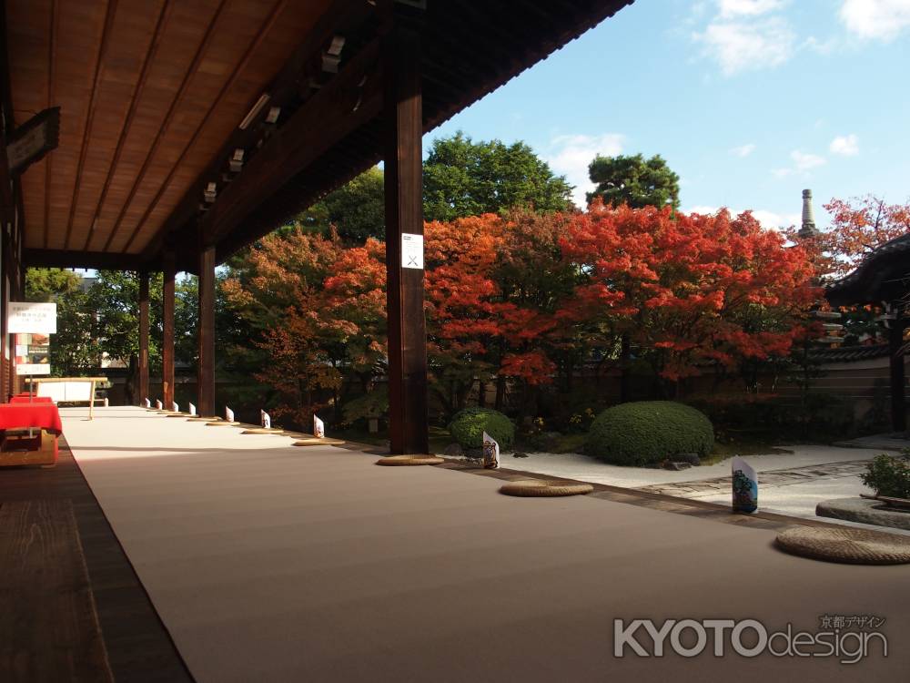 2019　盛秋　妙顕寺　7