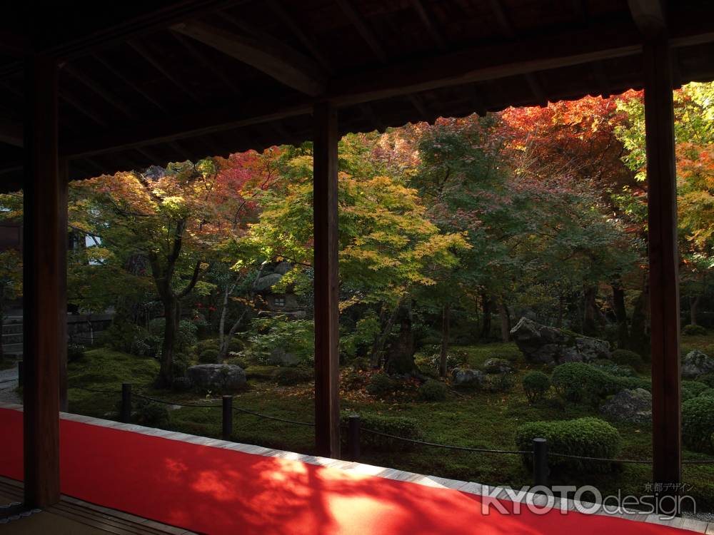 2019　初秋　圓光寺　4