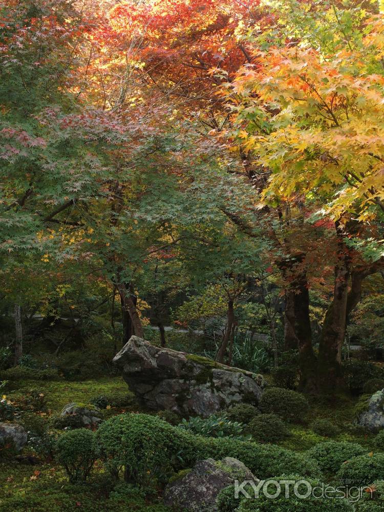 2019　初秋　圓光寺　6