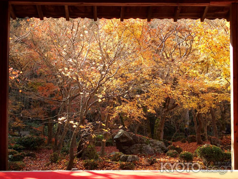 2019　晩秋　圓光寺　2