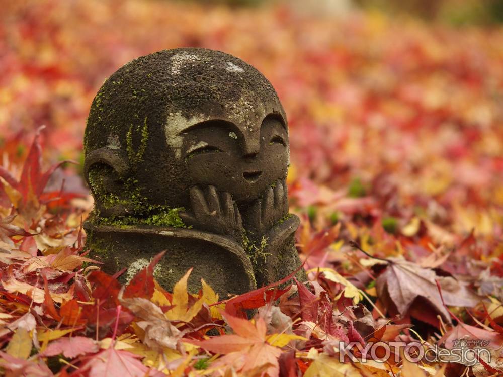 2019　晩秋　圓光寺　3