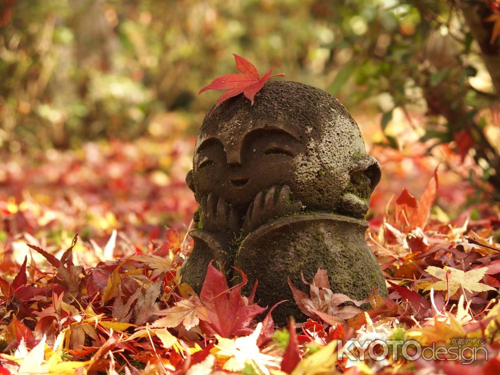 2019　晩秋　圓光寺　4