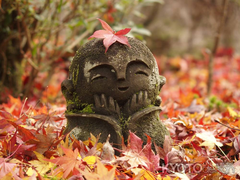 2019　晩秋　圓光寺　5