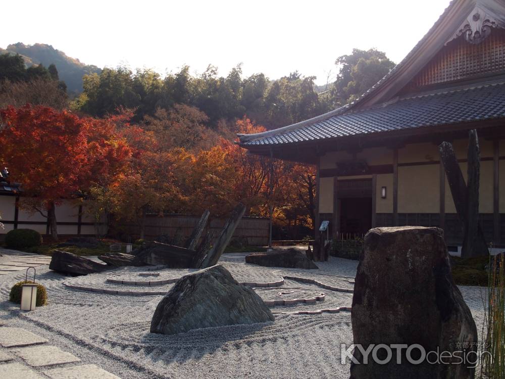 2019　晩秋　圓光寺　7