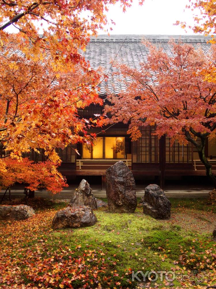 2019　晩秋　建仁寺　2